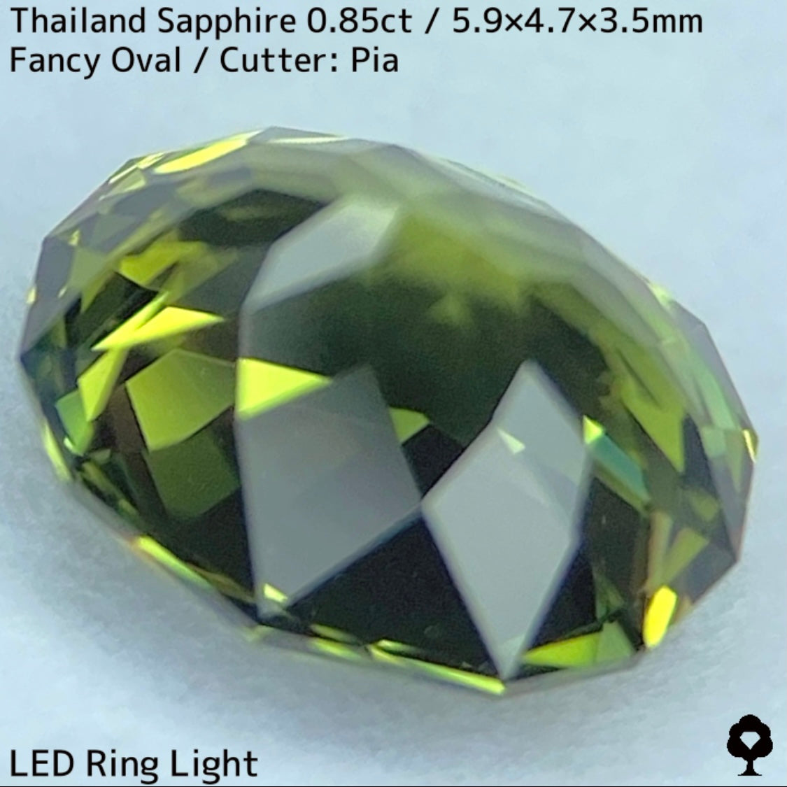 タイ産サファイア0.85ct★バンカチャらしいパーティライムカラーにファイアー彩る美結晶