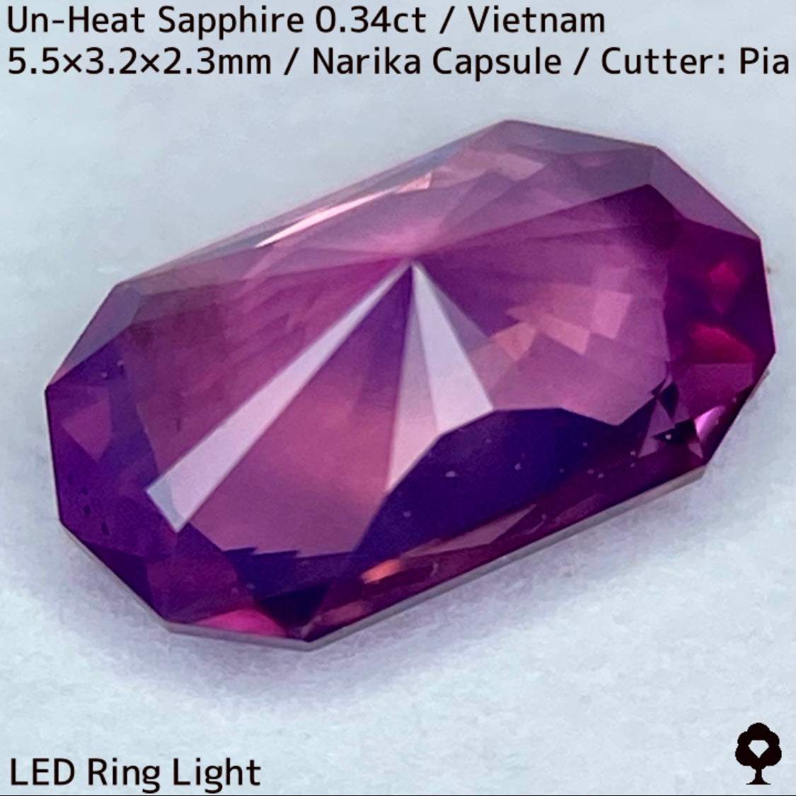 ベトナム産非加熱サファイア0.341ct★初のカプセルナリカーによってシックな色合いからネオンピンクの煌めき放つ