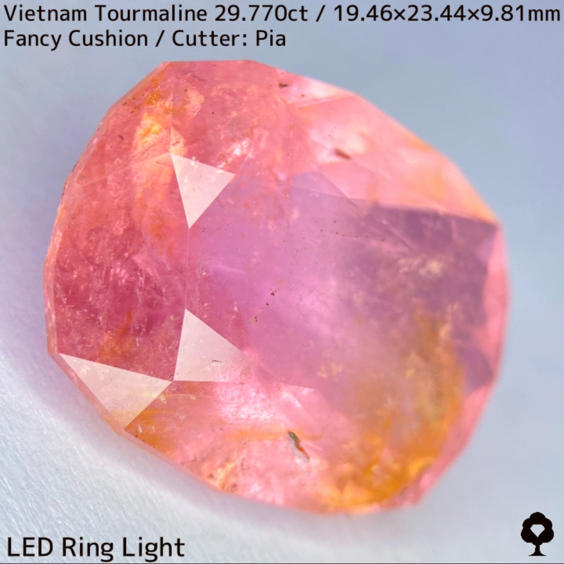ベトナム産トルマリン29.770ct★華やかなベトナム産らしい桜満開巨石