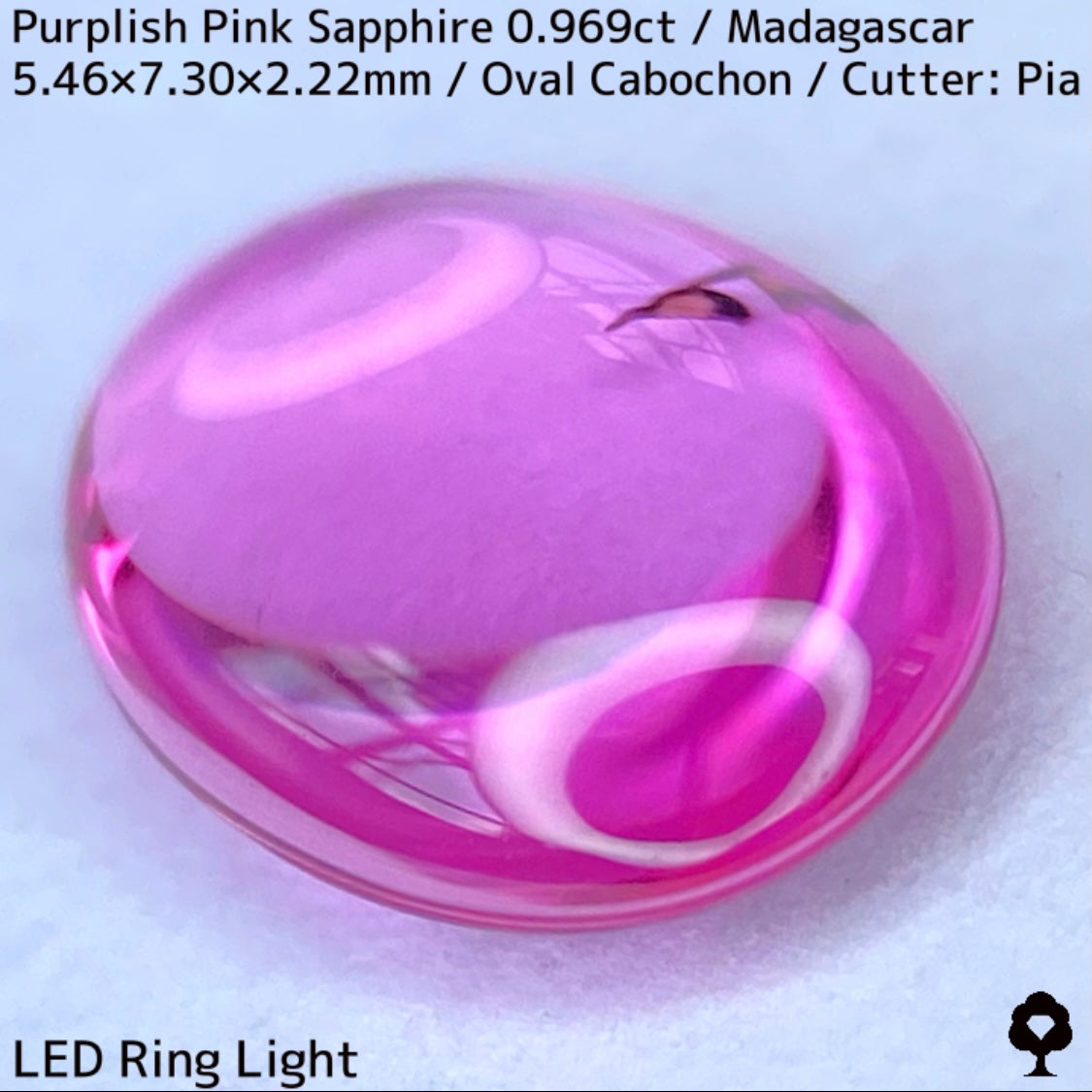マダガスカル産ピンクサファイア0.969ct★美しい石質の美ピンクに音符のような蝶のようなインクルが可愛い