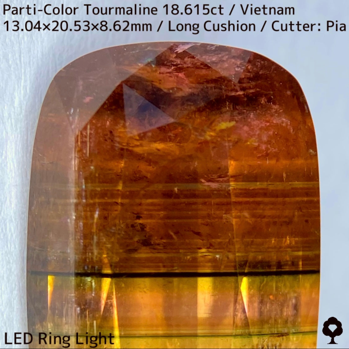 ベトナム産パーティカラートルマリン18.615ct★金屏風桜と夜桜を一石で楽しめる趣深いベトナム巨石