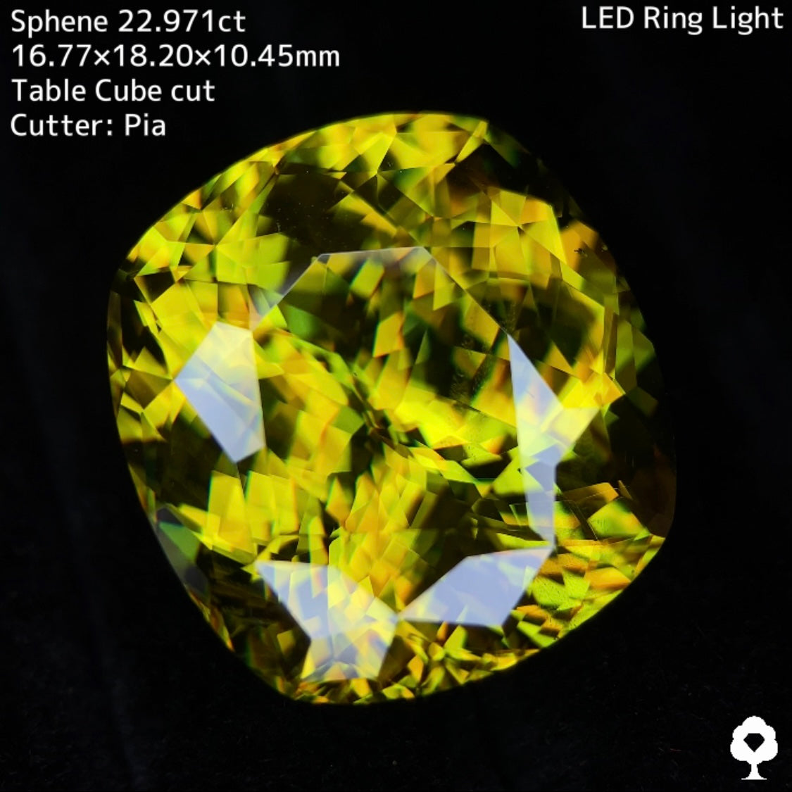 マダガスカルスフェーン22.971ct★美しさ・クラリティ・サイズどれをとっても博物館級のピアッちゃん初テーブルキューブ