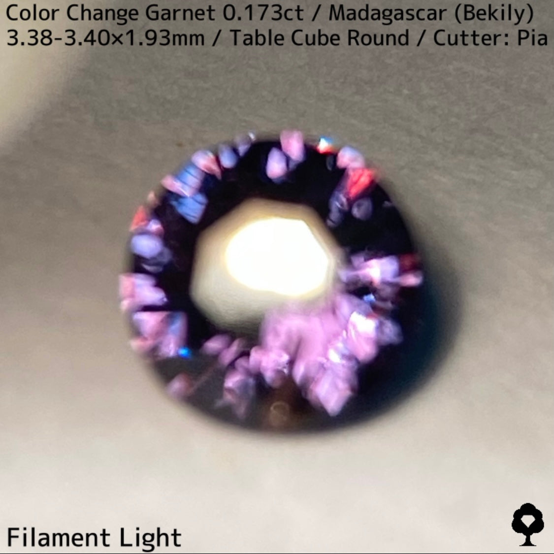 ベキリーカラーチェンジガーネット0.173ct★美しいブルーグリーンからパープリッシュピンクに変わるアレキタイプは内包物も面白い