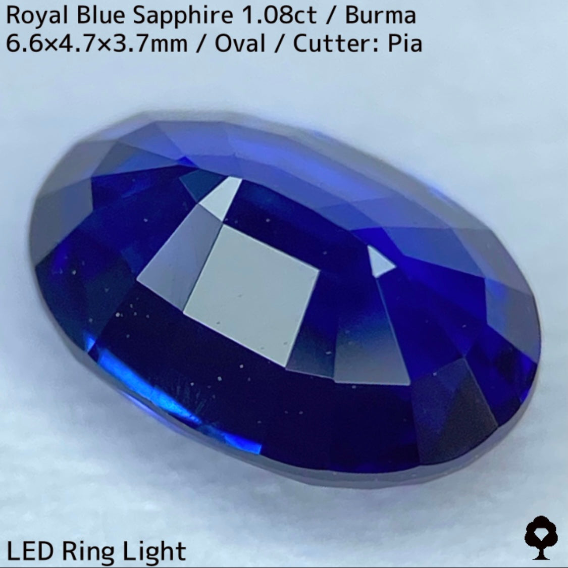 ビルマ産ロイヤルブルーサファイア1.08ct★濃厚だけど暗くない最高の色合いの1ctアップ美結晶ロイヤル