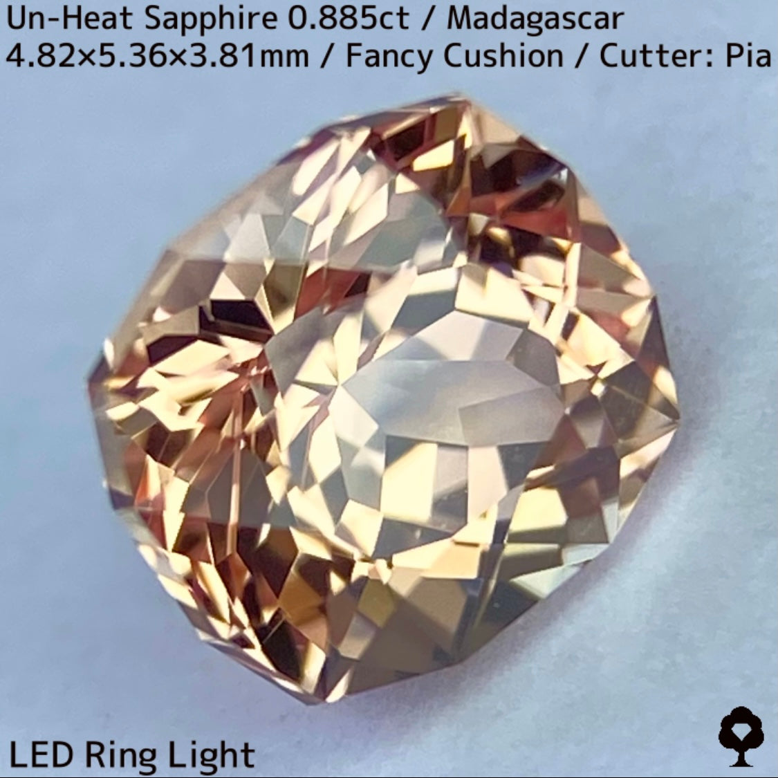 マダガスカル産非加熱サファイア0.885ct★インペリアルトパーズの様なシェリー感ある品と風格ある一石