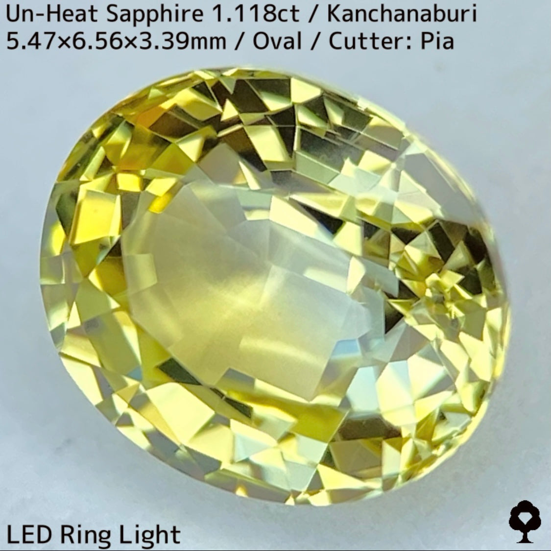 カンチャナブリー産非加熱サファイア1.118ct★弾けるライトグリニッシュイエローの強く美しい煌めき