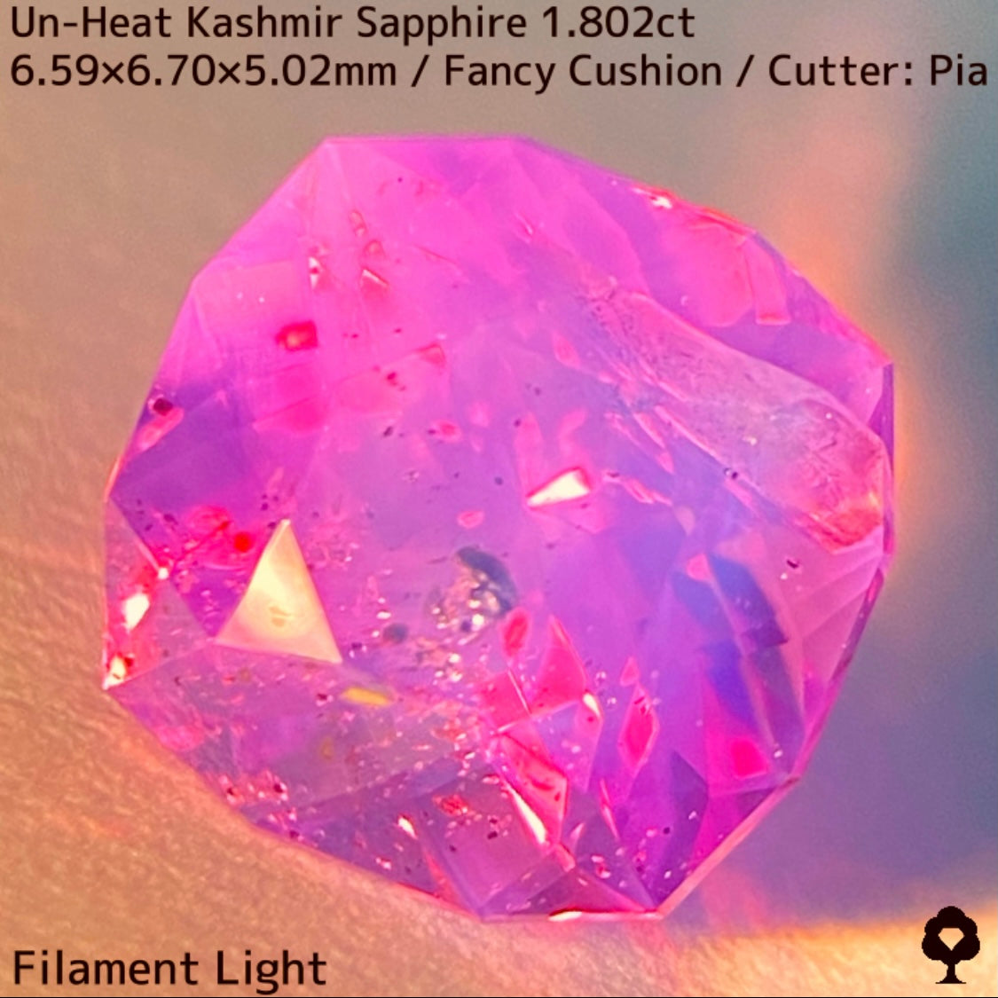 パキスタン産非加熱カシミールサファイア1.802ct★希産カシミールのらしさ全開の名品を色んな光源で楽しんで