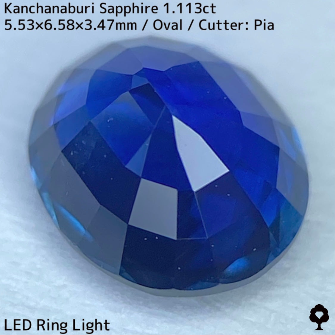 カンチャナブリー産サファイア1.113ct★カンチャらしいシルキーでほんのりグリニッシュなブルーの希少1ctアップ