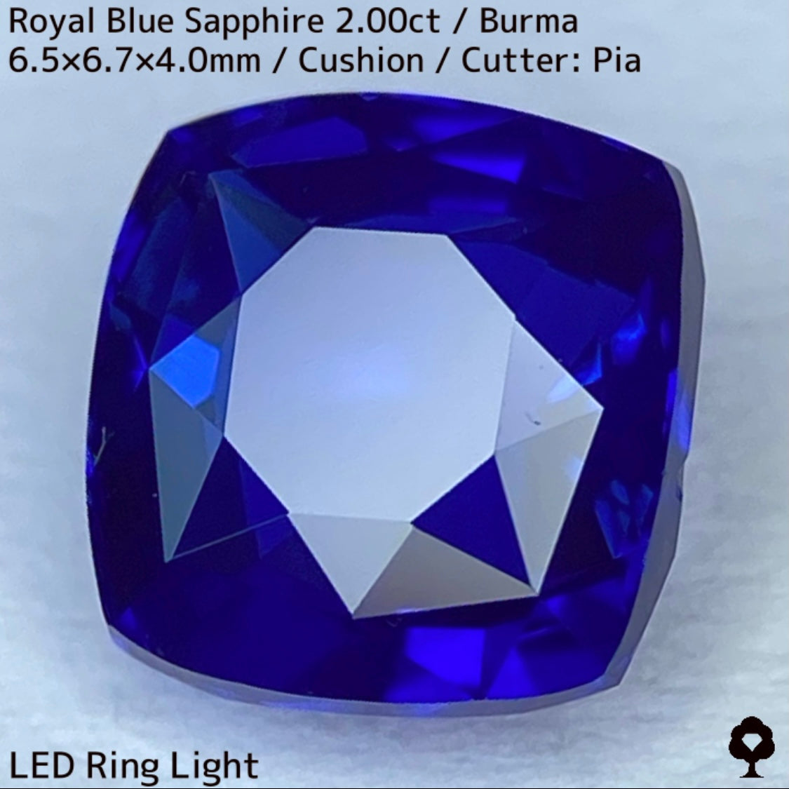 【カットを進めるか選択出来る】ビルマ産ロイヤルブルーサファイア2.00ct★超美色美結晶の希少2.00ctであの大御所が一旦ストップした悩み中だからこその特別プライス