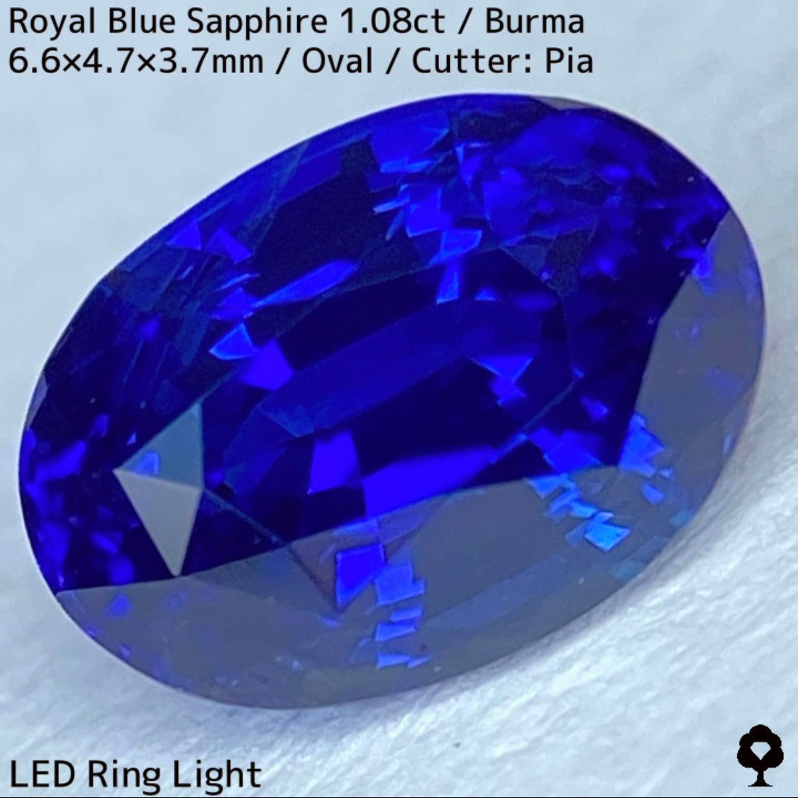 ビルマ産ロイヤルブルーサファイア1.08ct★濃厚だけど暗くない最高の色合いの1ctアップ美結晶ロイヤル