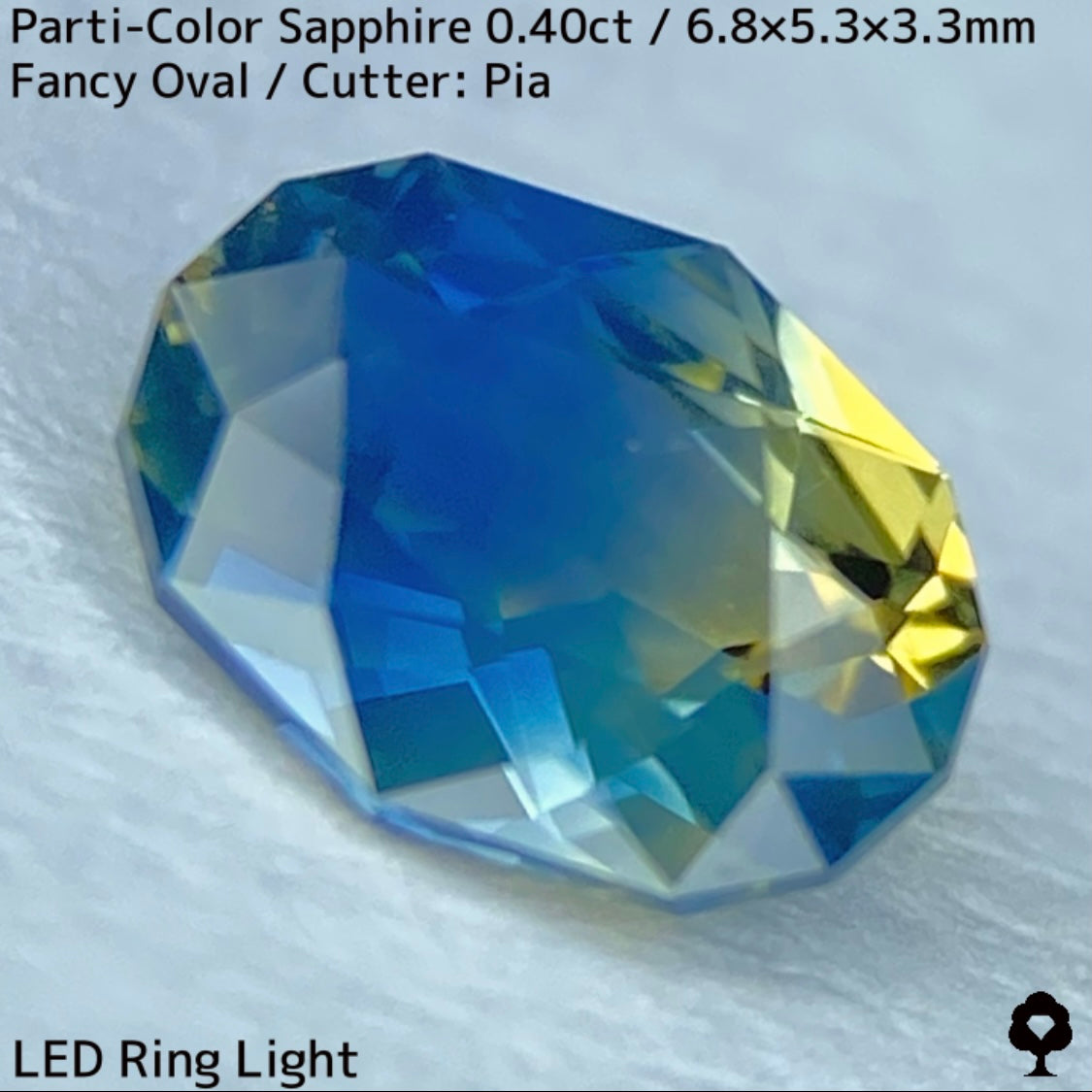 カンチャナブリー産パーティカラーサファイア0.40ct★鮮やかなイエローにシルキーブルーの色だまり