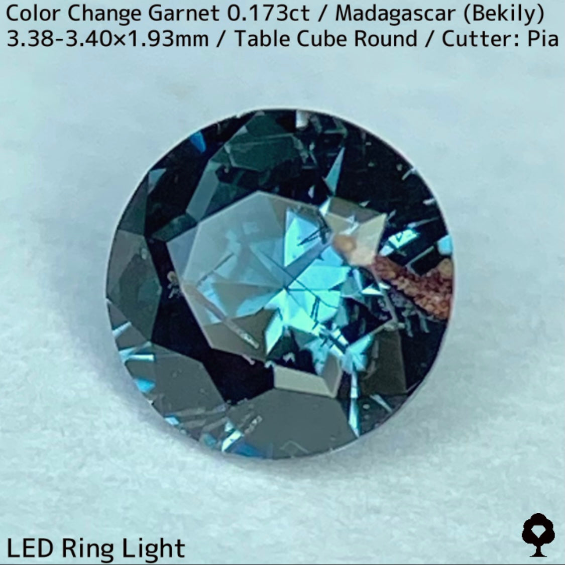 ベキリーカラーチェンジガーネット0.173ct★美しいブルーグリーンからパープリッシュピンクに変わるアレキタイプは内包物も面白い