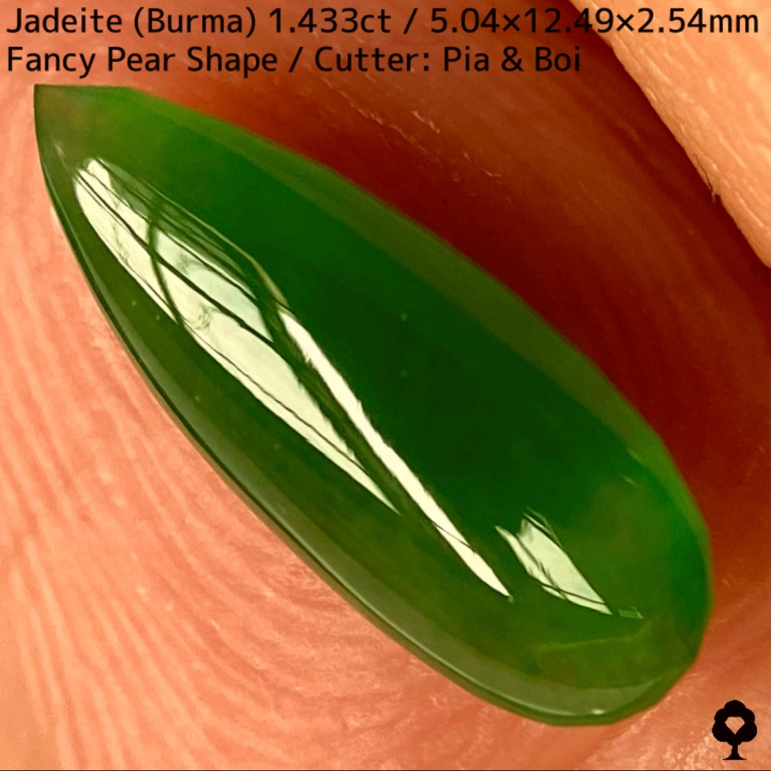 翡翠1.433ct★明るい美グリーンのマスターストーンはGTJならではのさりげなく輪郭が縁取られたツヤツヤファンシーペアシェイプ