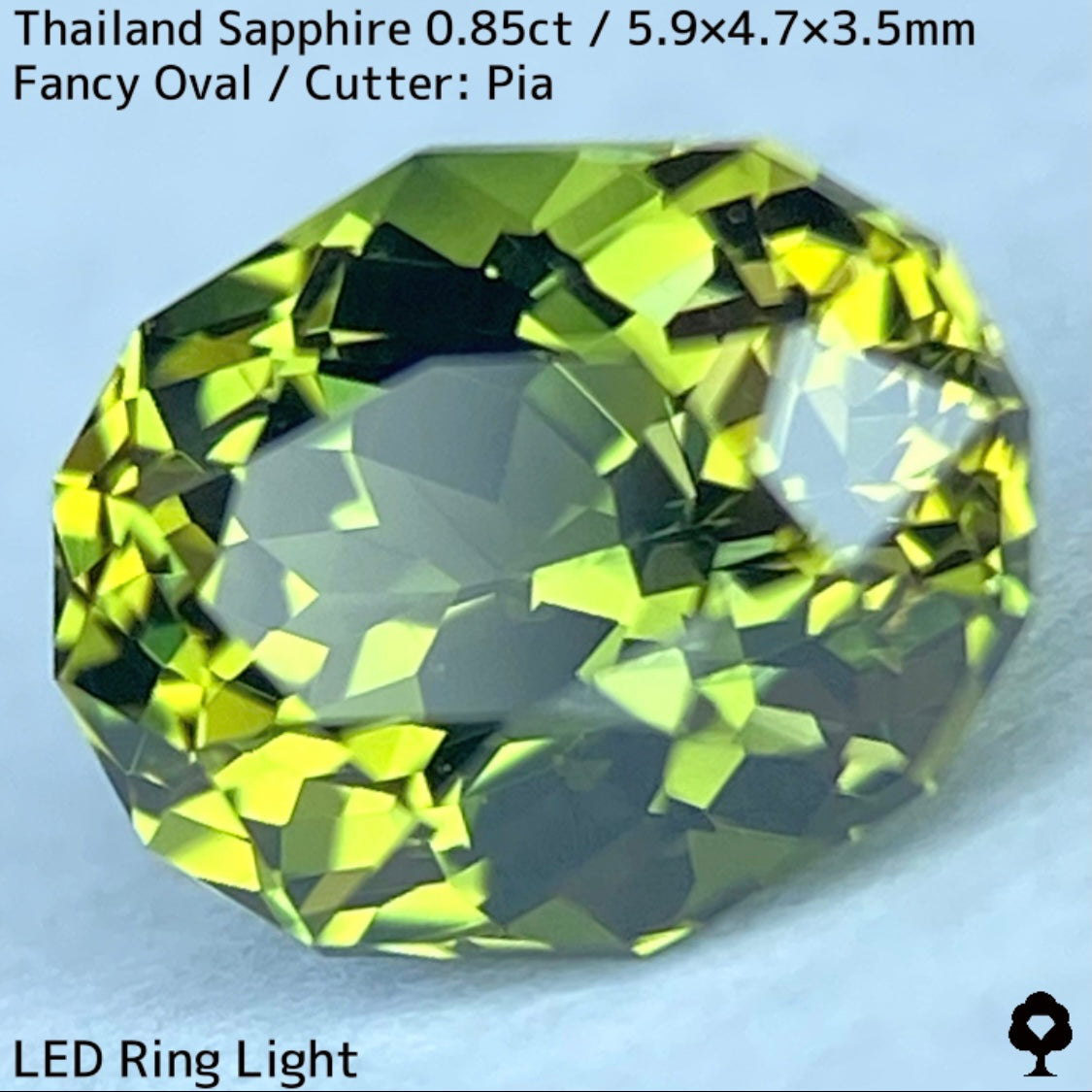 タイ産サファイア0.85ct★バンカチャらしいパーティライムカラーにファイアー彩る美結晶