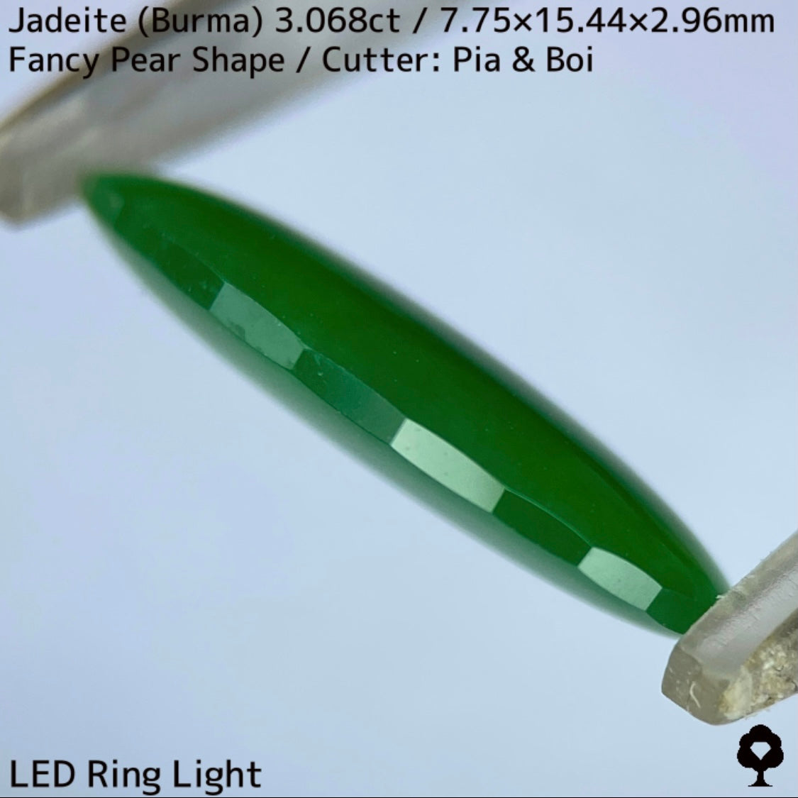 翡翠3.068ct★マスターストーンと言える濃色美グリーンのさりげなく輪郭が縁取られたツヤツヤファンシーペアシェイプ