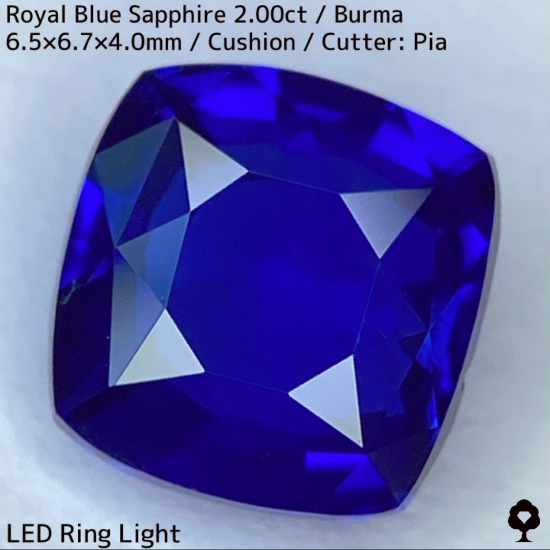 【カットを進めるか選択出来る】ビルマ産ロイヤルブルーサファイア2.00ct★超美色美結晶の希少2.00ctであの大御所が一旦ストップした悩み中だからこその特別プライス