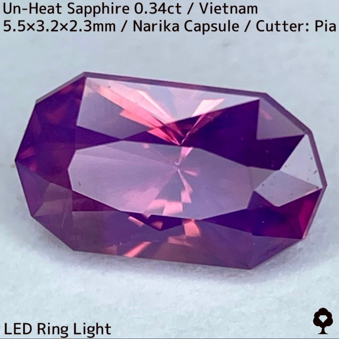 ベトナム産非加熱サファイア0.341ct★初のカプセルナリカーによってシックな色合いからネオンピンクの煌めき放つ