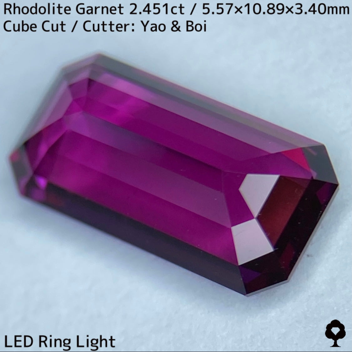 濃厚グレープピンクの堂々たる美結晶オクタゴン★ロードライトガーネット2.541ct