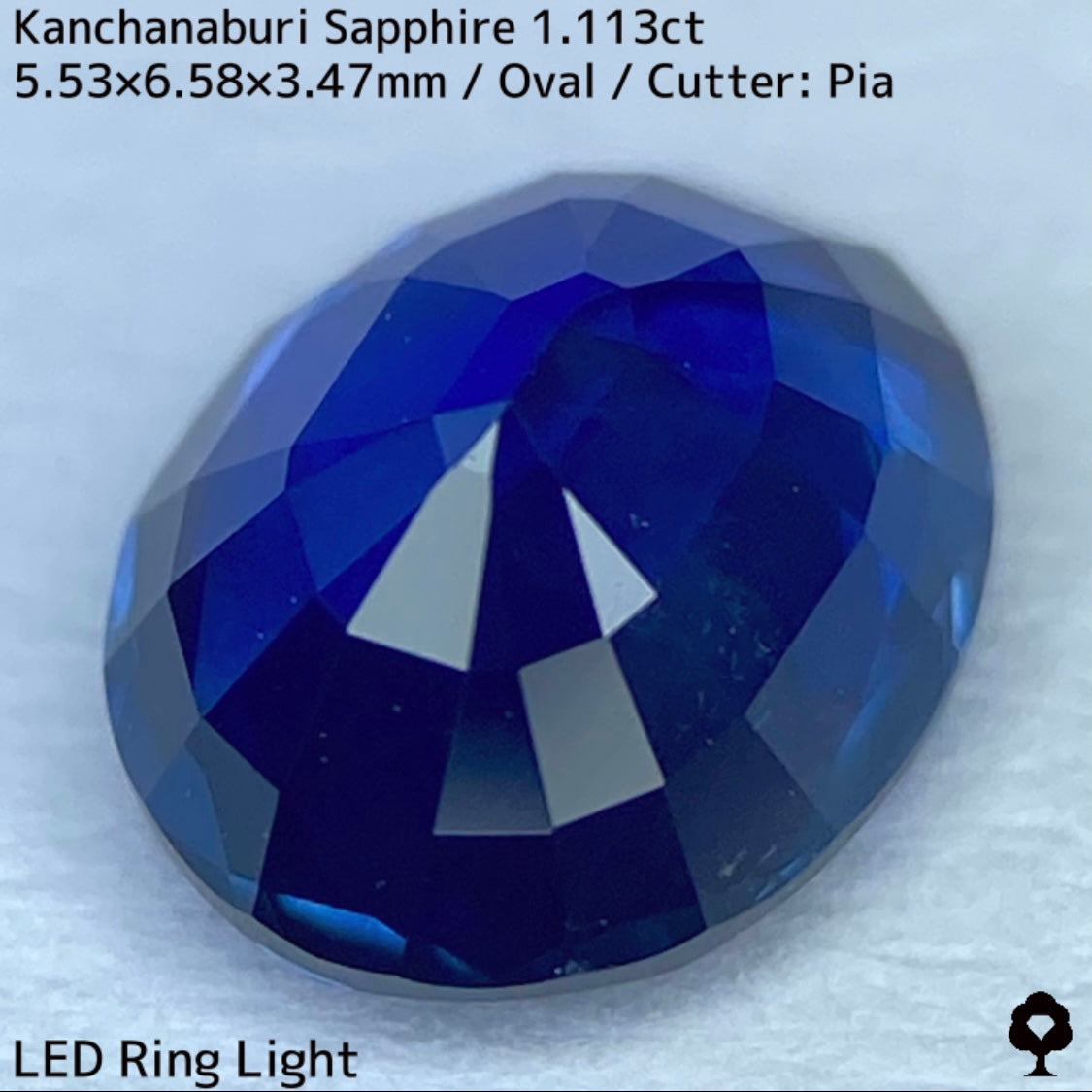 カンチャナブリー産サファイア1.113ct★カンチャらしいシルキーでほんのりグリニッシュなブルーの希少1ctアップ