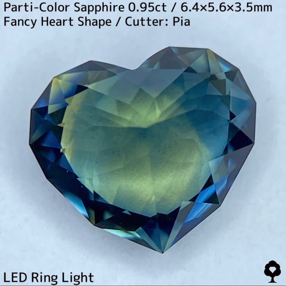 パーティカラーサファイア0.95ct★イエローからパープル感じるブルーまでのカラフルなパーティ感美しいレアファンシーハート