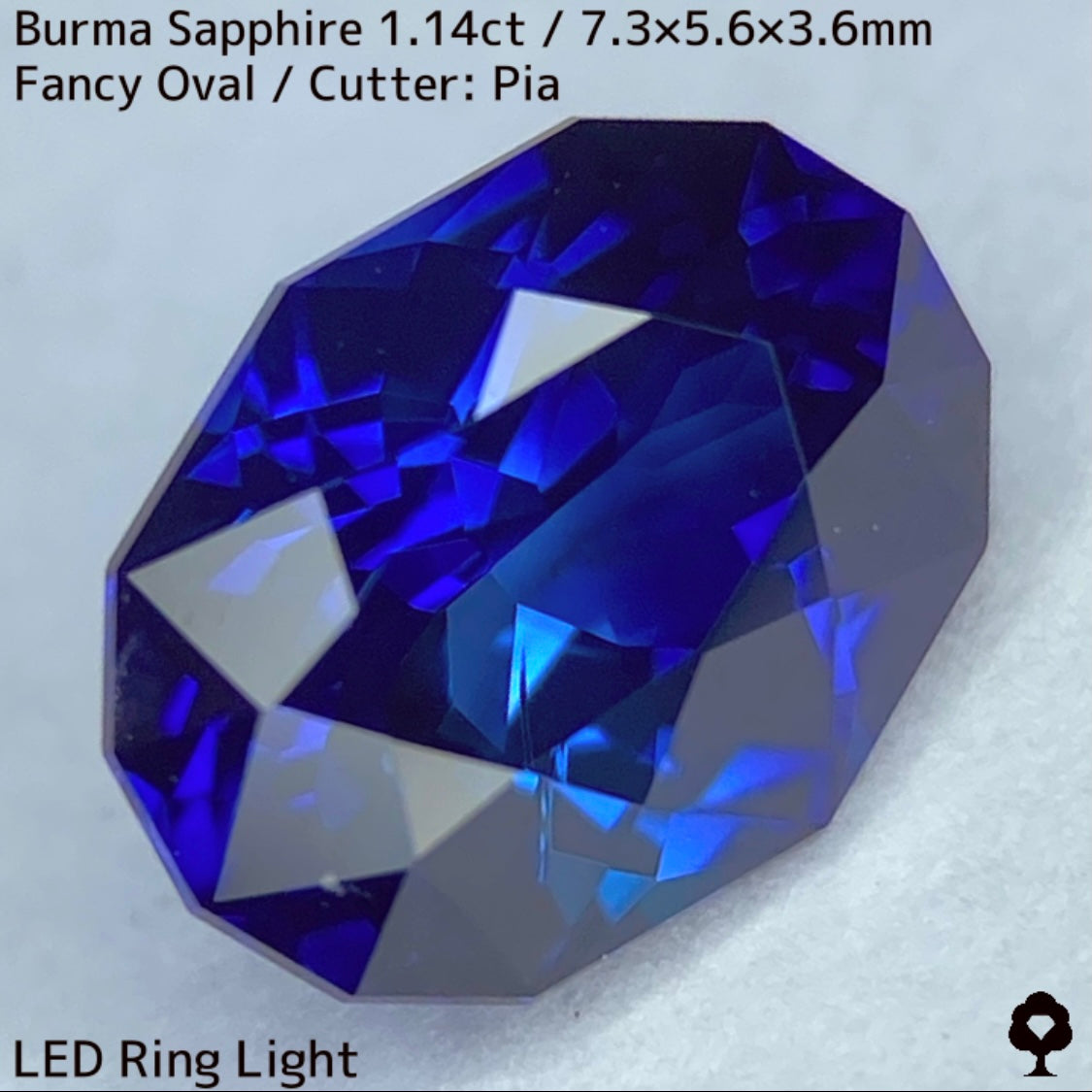 ビルマ産サファイア1.149ct★ロイヤル・コーン・ティールの3種のブルーが混ざり合うとてつもない美色