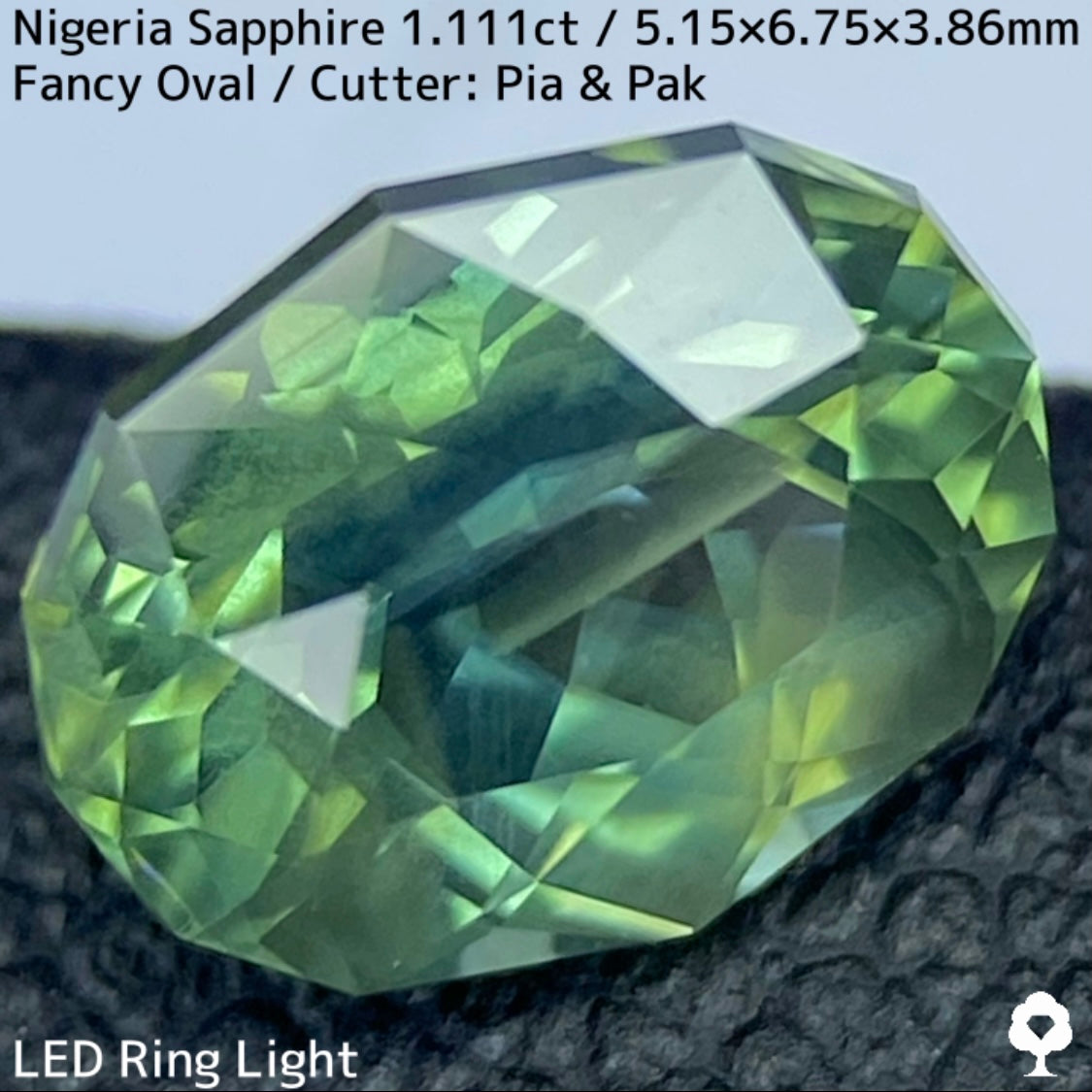 ナイジェリア産サファイア1.111ct★ゴールドのラインが美しいたまらなく面白いシルキーブルーイッシュグリーン
