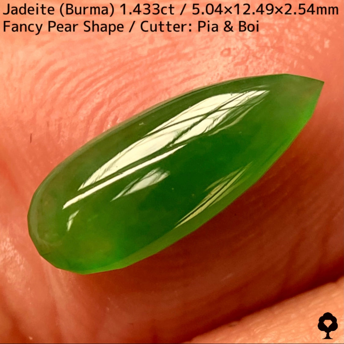 翡翠1.433ct★明るい美グリーンのマスターストーンはGTJならではのさりげなく輪郭が縁取られたツヤツヤファンシーペアシェイプ