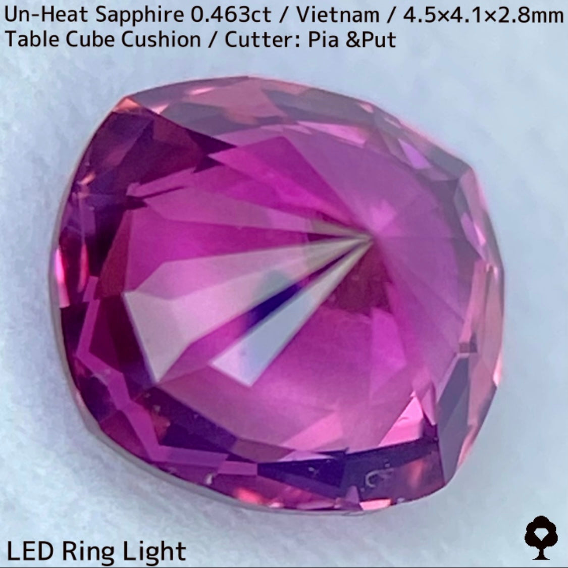 ベトナム産非加熱サファイア0.463ct★ベトナム産の魅力がたまりに詰まったウィンザー産のような美パープリッシュピンク