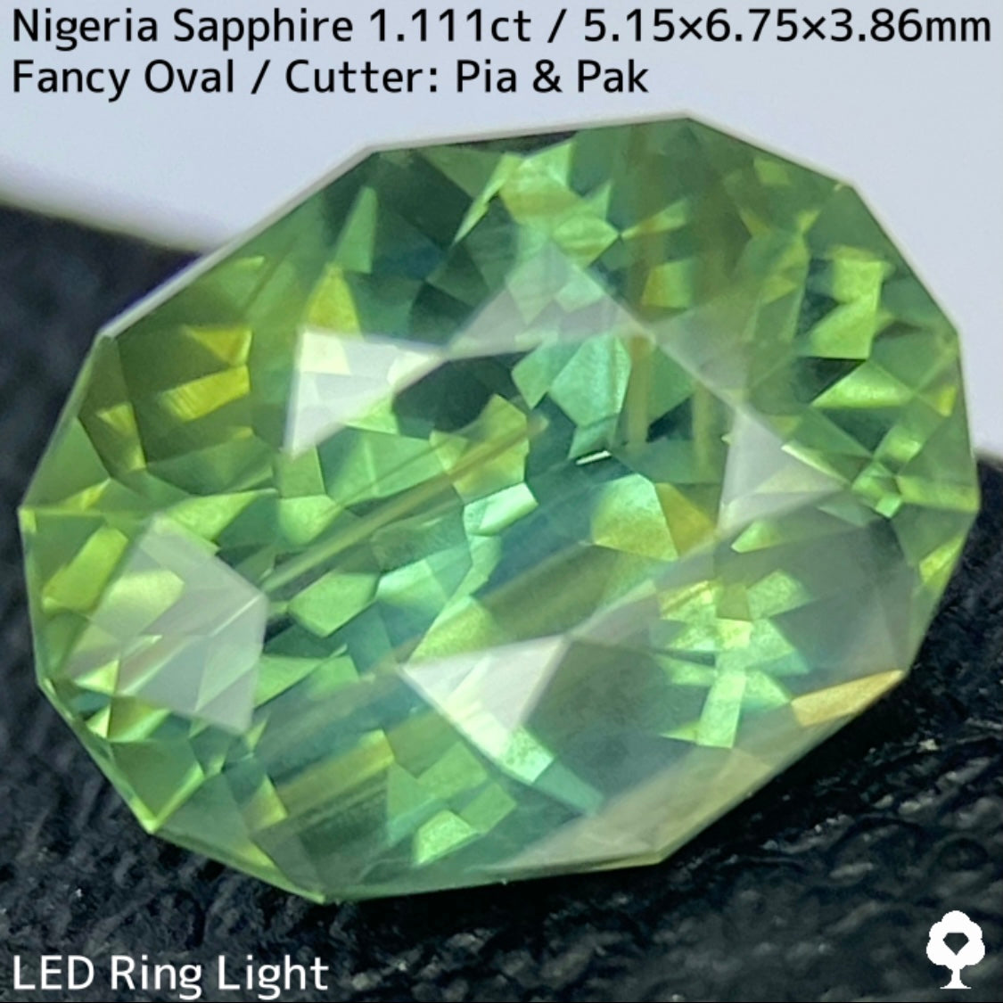 ナイジェリア産サファイア1.111ct★ゴールドのラインが美しいたまらなく面白いシルキーブルーイッシュグリーン