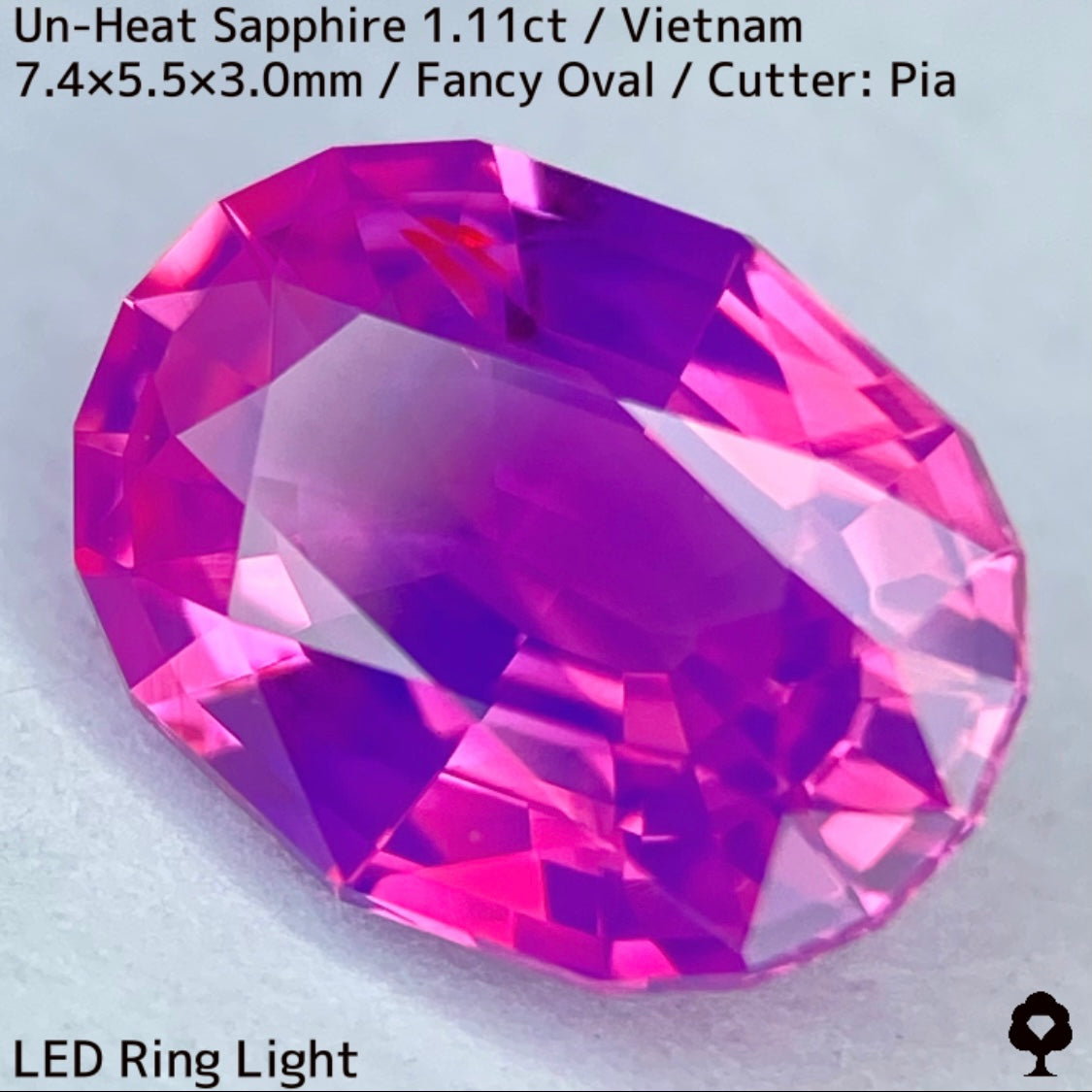 ベトナム産非加熱サファイア1.11ct