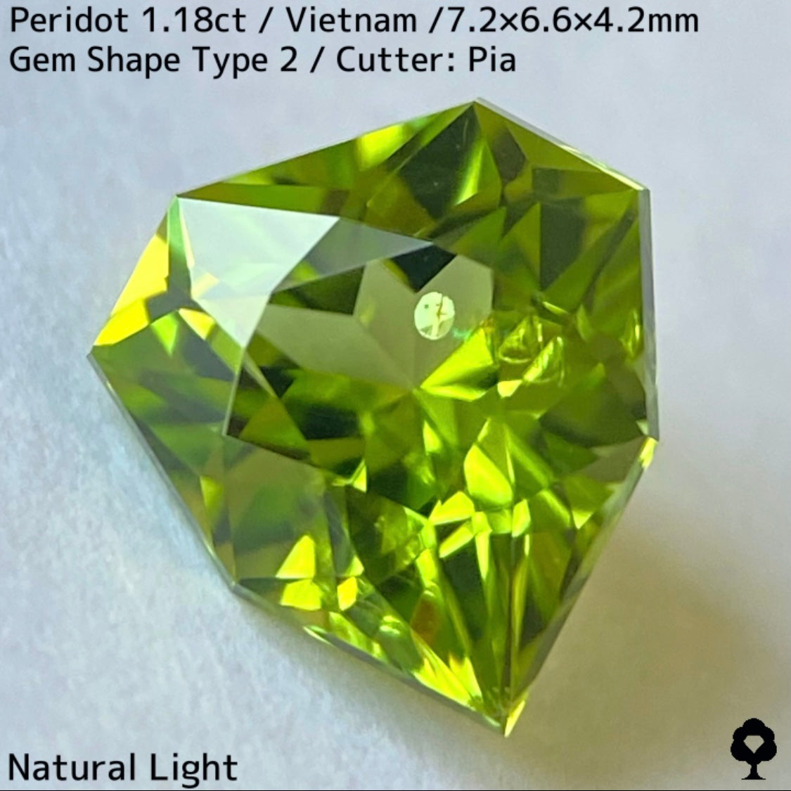 【ご当選者さま専用】ベトナム産ペリドット1.18ct★リリーパッド入り美色結晶の盾のような宝石形タイプ2
