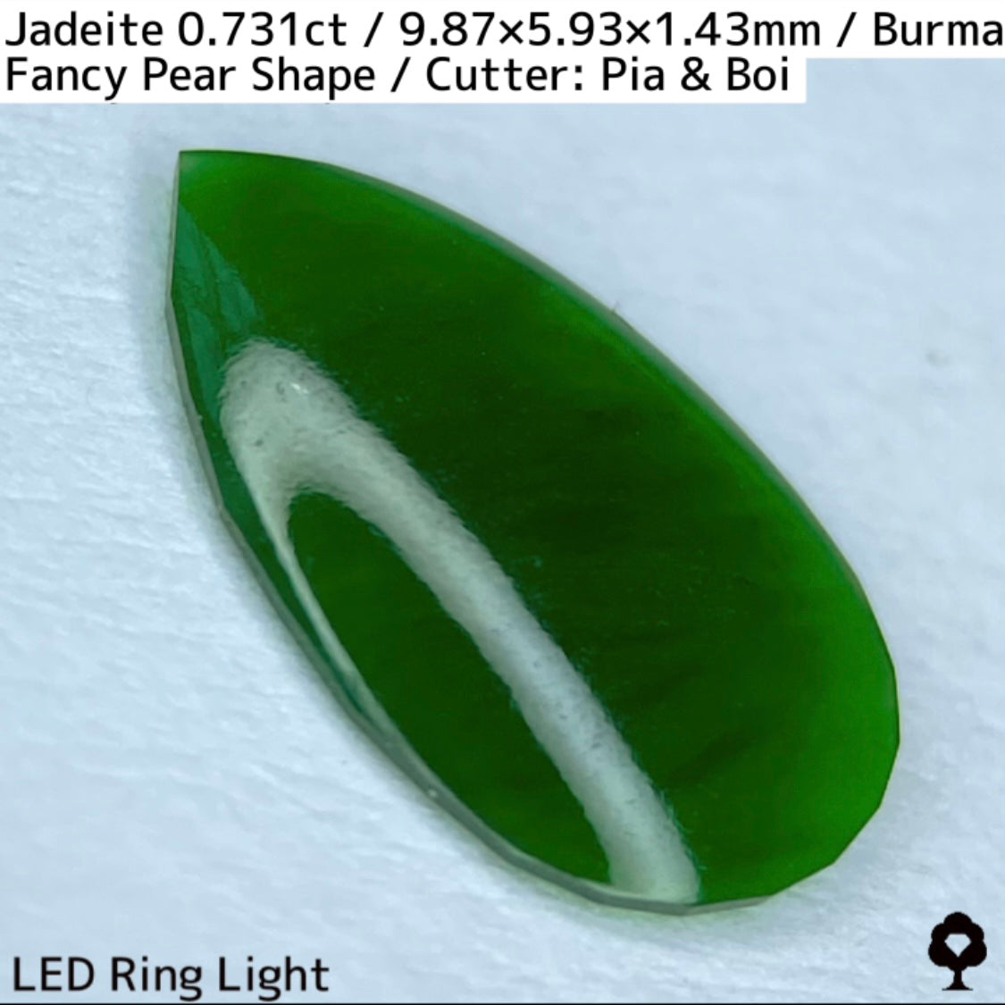 翡翠0.731ct★GTJ創業者大御所のセレクトのお手本翡翠に細やかな縁取り
