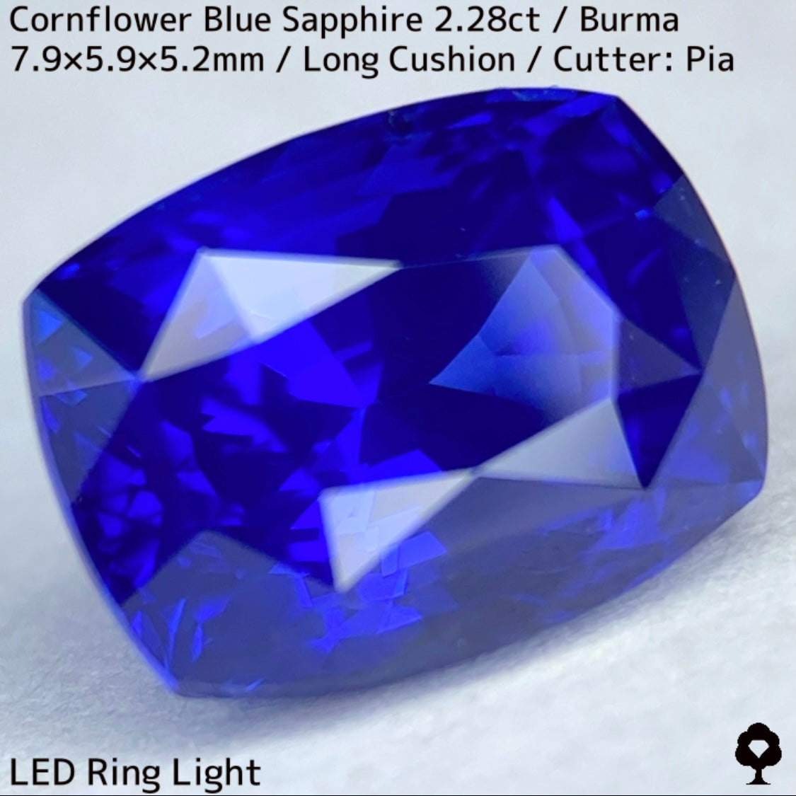ビルマ産コーンフラワーブルーサファイア2.28ct★シルキー感も色合いもプロポーションも最高の希少ビルマ産