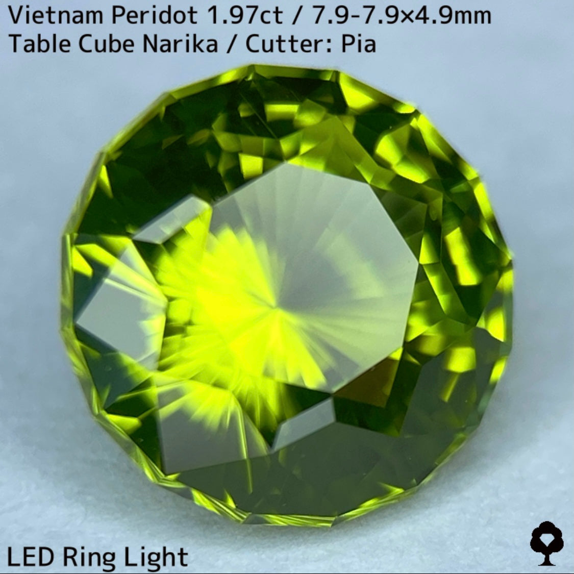 ベトナム産ペリドット1.97ct★さりげなくリリーパッドとシルキーさのある煌めき発色抜群のナリカーカット★