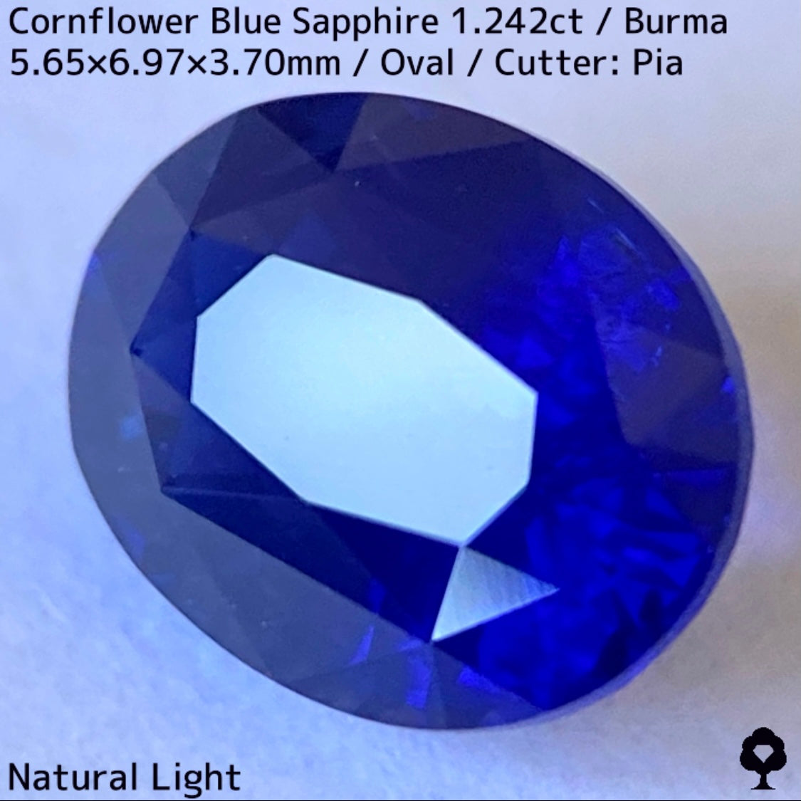 ビルマ産コーンフラワーブルーサファイア1.242ct★えげつない彩度のロイヤルとも言える超濃厚美色のシルキーコーンフラワー