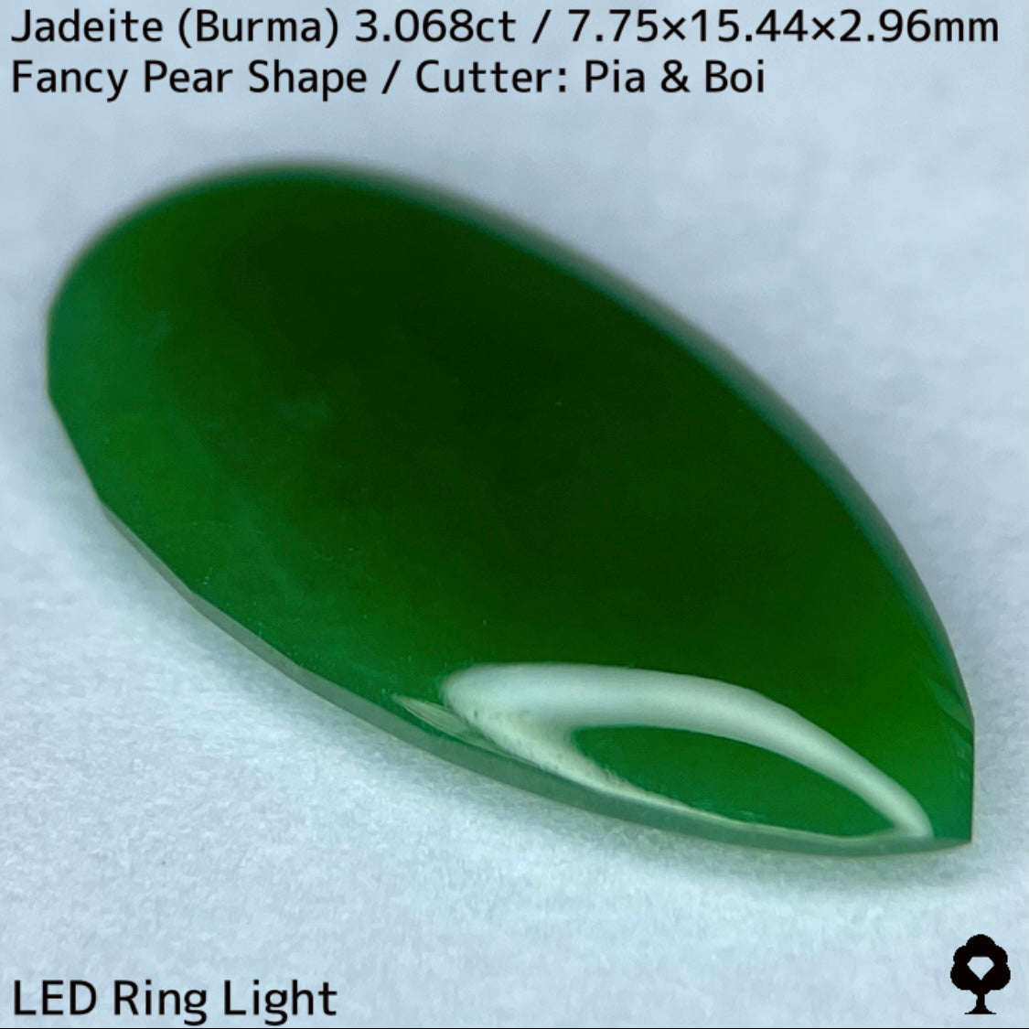 翡翠3.068ct★マスターストーンと言える濃色美グリーンのさりげなく輪郭が縁取られたツヤツヤファンシーペアシェイプ