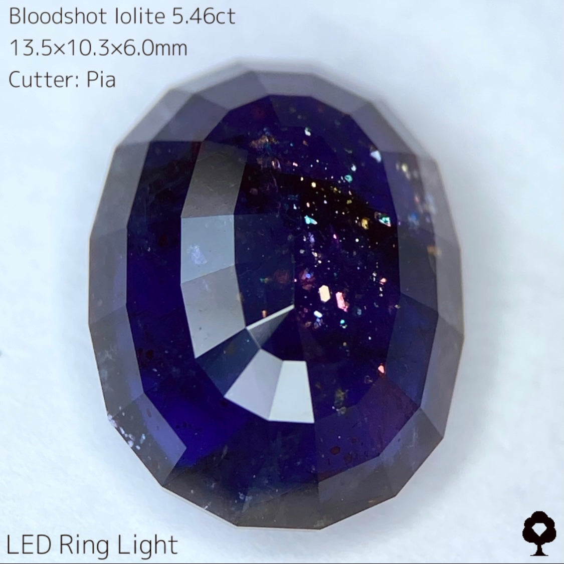 濃厚パープルに広がるカラフルな宇宙とブラッドショット★ブラッドショットアイオライト5.46ct