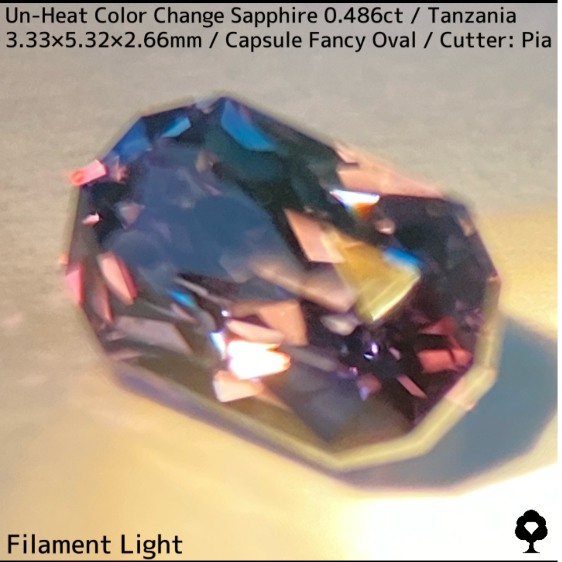タンザニア産非加熱カラーチェンジサファイア0.486ct★深みの中に潜む多色感とゴールドシルクの銀河広がる
