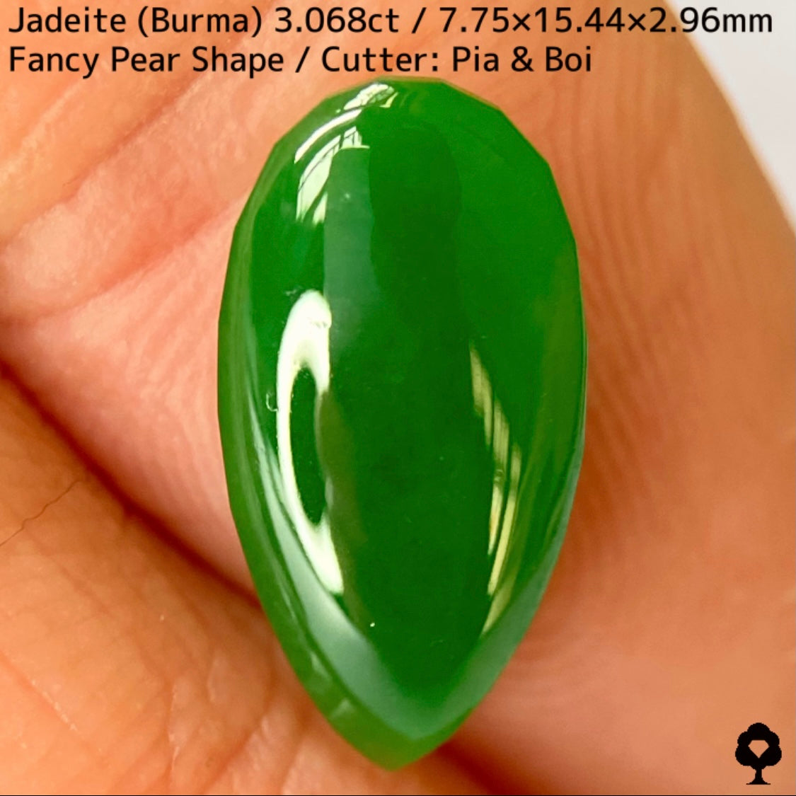 翡翠3.068ct★マスターストーンと言える濃色美グリーンのさりげなく輪郭が縁取られたツヤツヤファンシーペアシェイプ