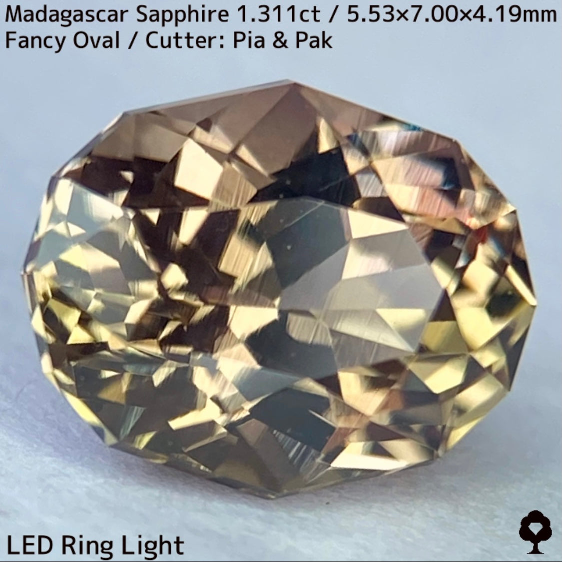 マダガスカル産サファイア1.311ct★ダンディな多色感たまらない成長が絵画のような一石