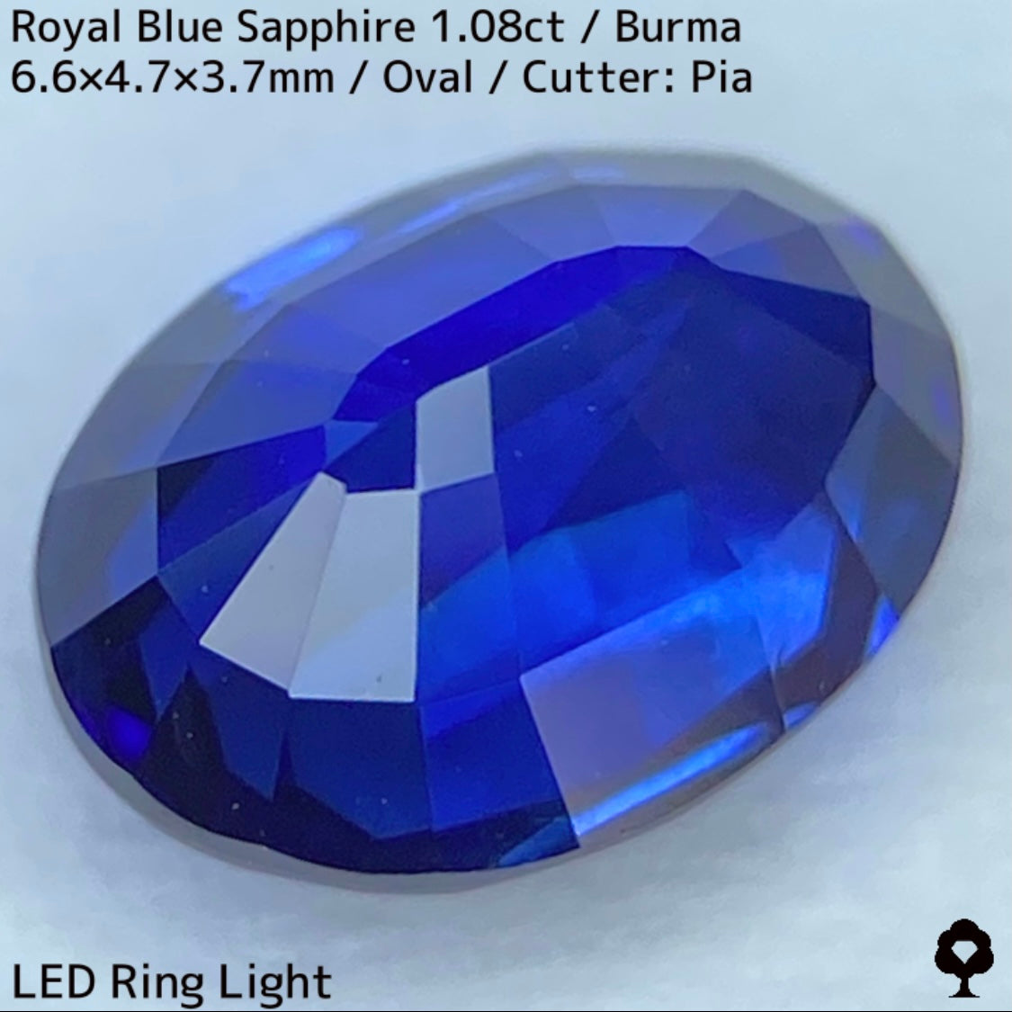 ビルマ産ロイヤルブルーサファイア1.08ct★濃厚だけど暗くない最高の色合いの1ctアップ美結晶ロイヤル