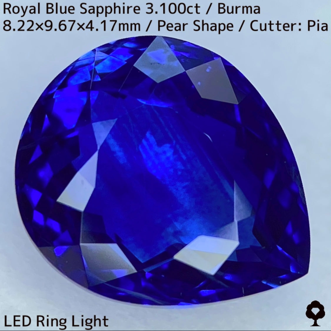 ビルマ産ロイヤルブルーサファイア3.100ct★ふっくらとした可愛いペアシェイプに仕上げられた趣ある超美色ロイヤルブルー