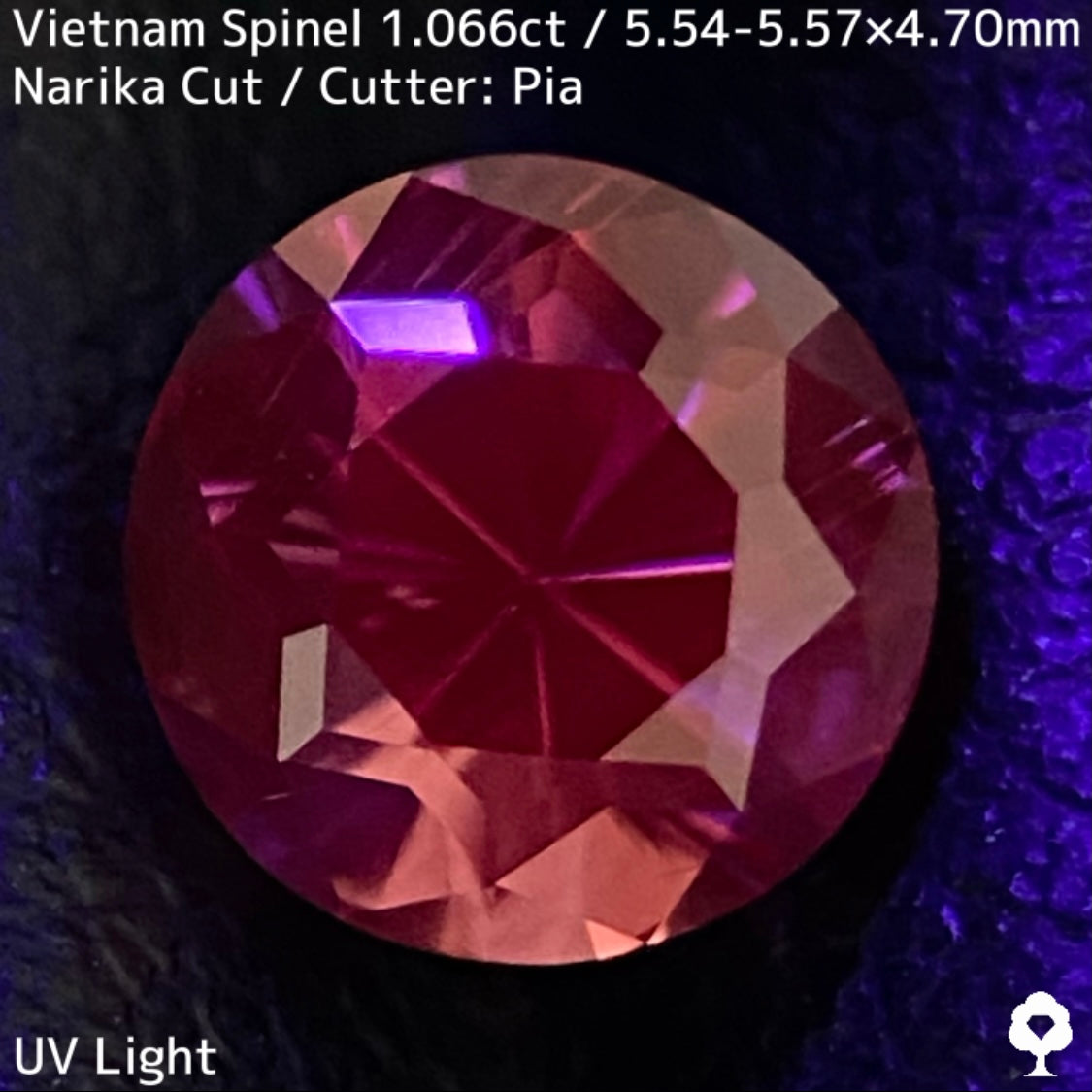 ベトナム産スピネル1.066ct★原石からつくりあげた厚みのあるプロボーションから8本の鋭い煌きはなつ大人の美色