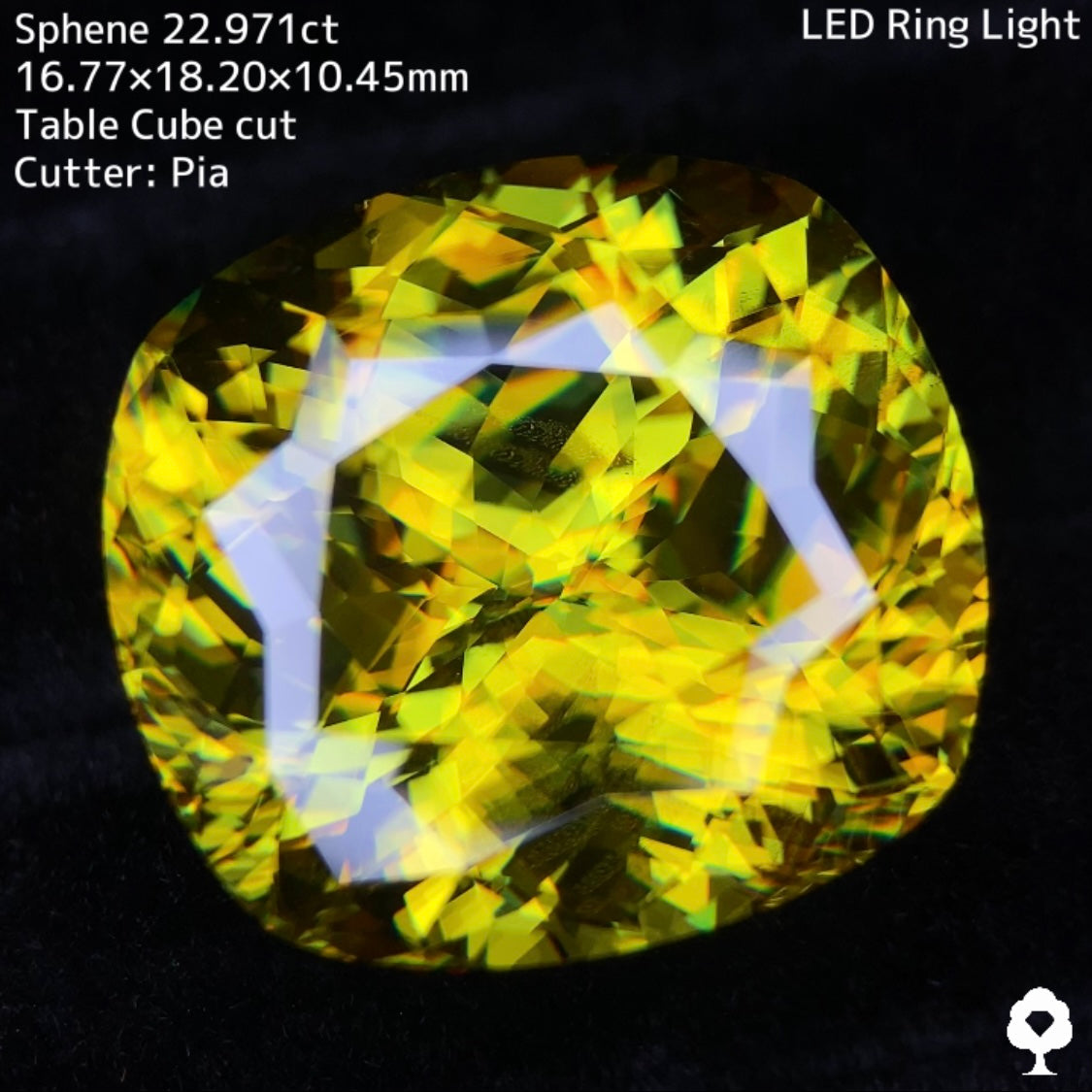 マダガスカルスフェーン22.971ct★美しさ・クラリティ・サイズどれをとっても博物館級のピアッちゃん初テーブルキューブ
