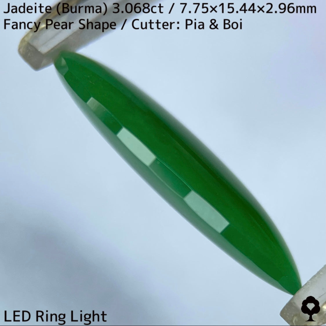 翡翠3.068ct★マスターストーンと言える濃色美グリーンのさりげなく輪郭が縁取られたツヤツヤファンシーペアシェイプ