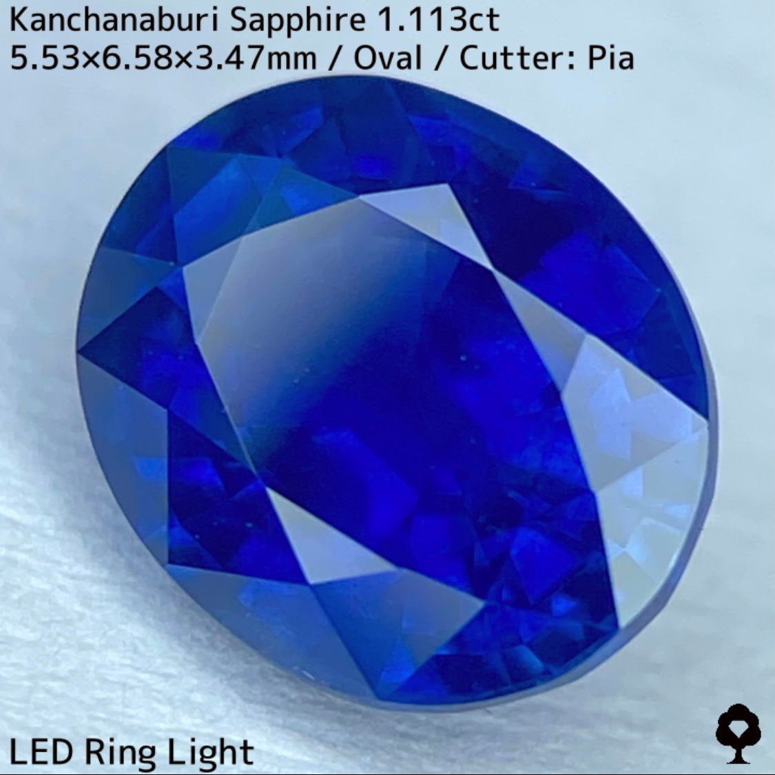 カンチャナブリー産サファイア1.113ct★カンチャらしいシルキーでほんのりグリニッシュなブルーの希少1ctアップ