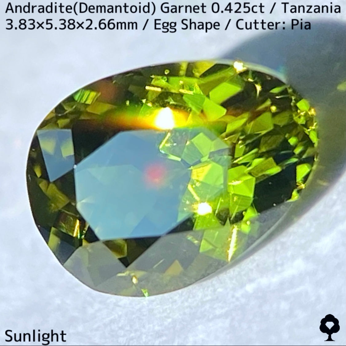 タンザニア産アンドラダイト(デマントイド)ガーネット0.425ct★程よい濃さの美グリーンから煌めき止まらないキュートなエッグシェイプ