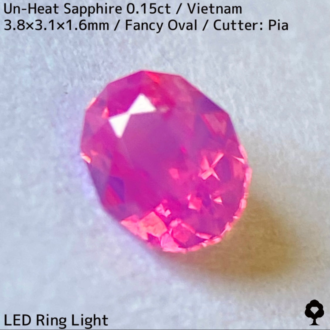 【ご当選者さま専用】ベトナム産非加熱サファイア0.15ct★小粒に詰まった美色ネオンシルキーピンクは必見