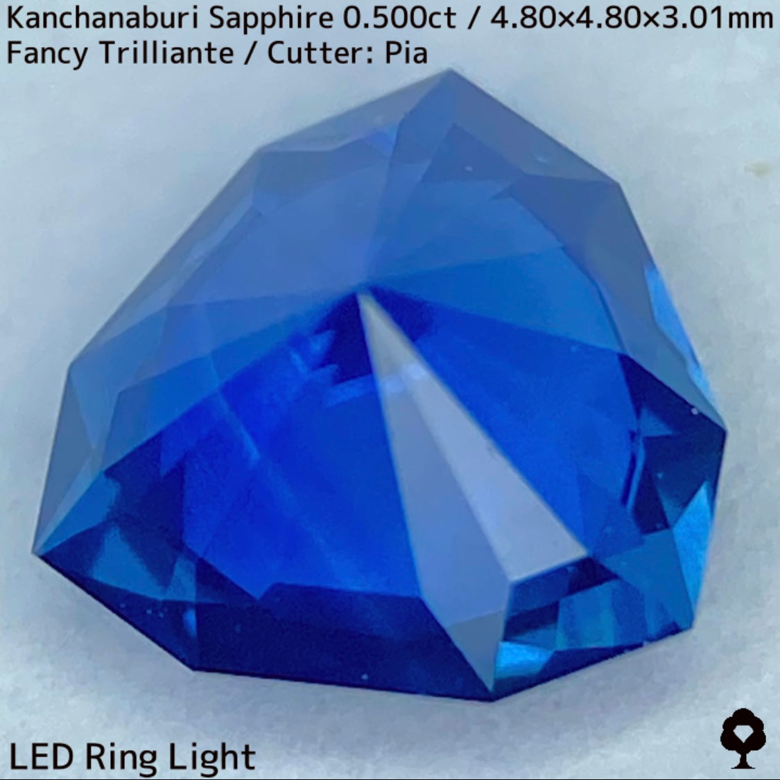 【GW特別企画★30%まほチケキャッシュバック】カンチャナブリー産サファイア0.500ct★シルキーでグリニッシュなカンチャブルーから鋭いナリカーの煌めき