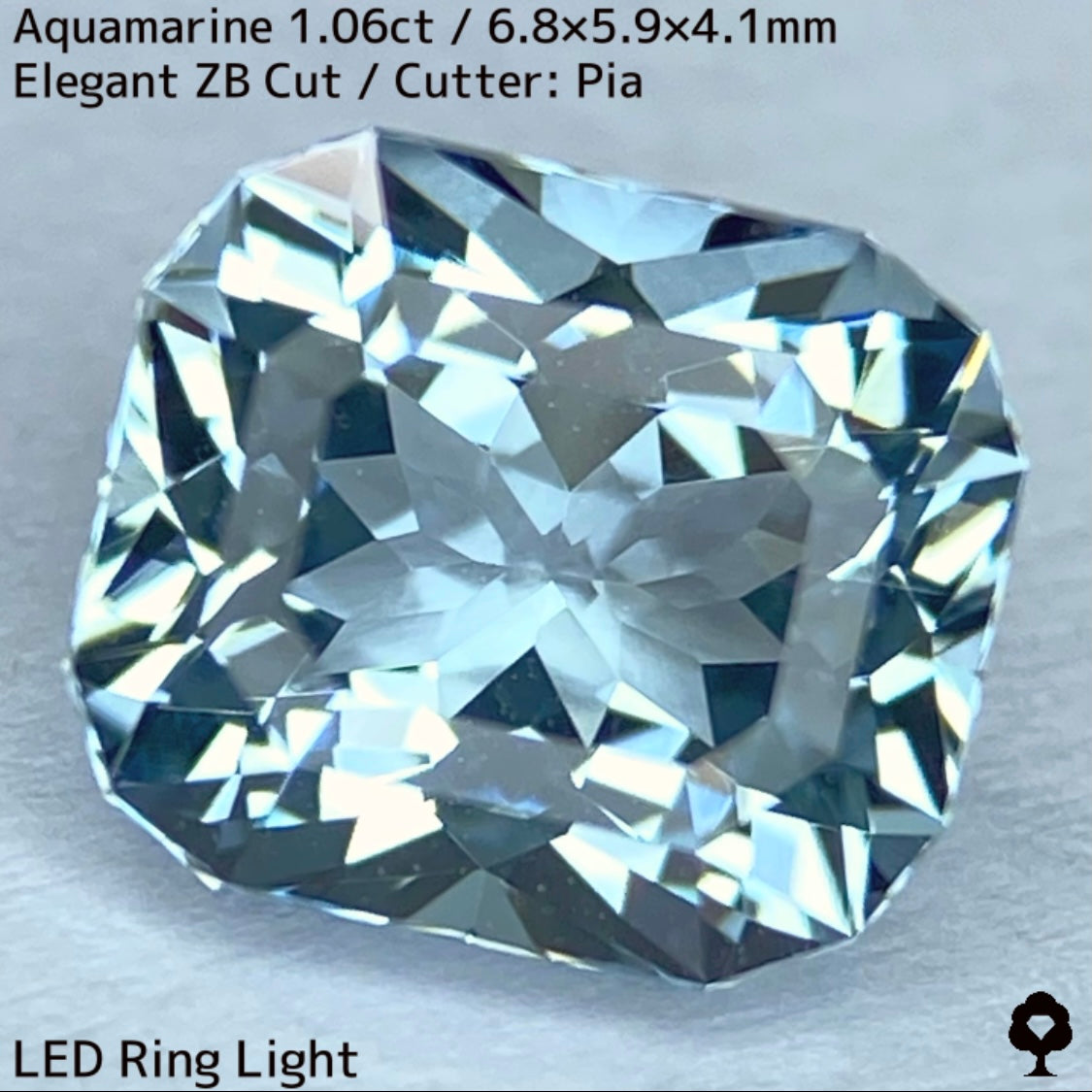 【お客さま専用】3月誕生石プライス★アクアマリン1.06ct★煌めき溢れるエレガントカットに宝石の形浮かぶZBカット